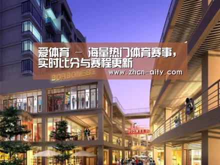 案例展示一(图1)