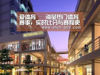 案例展示一